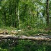 DSCF0468